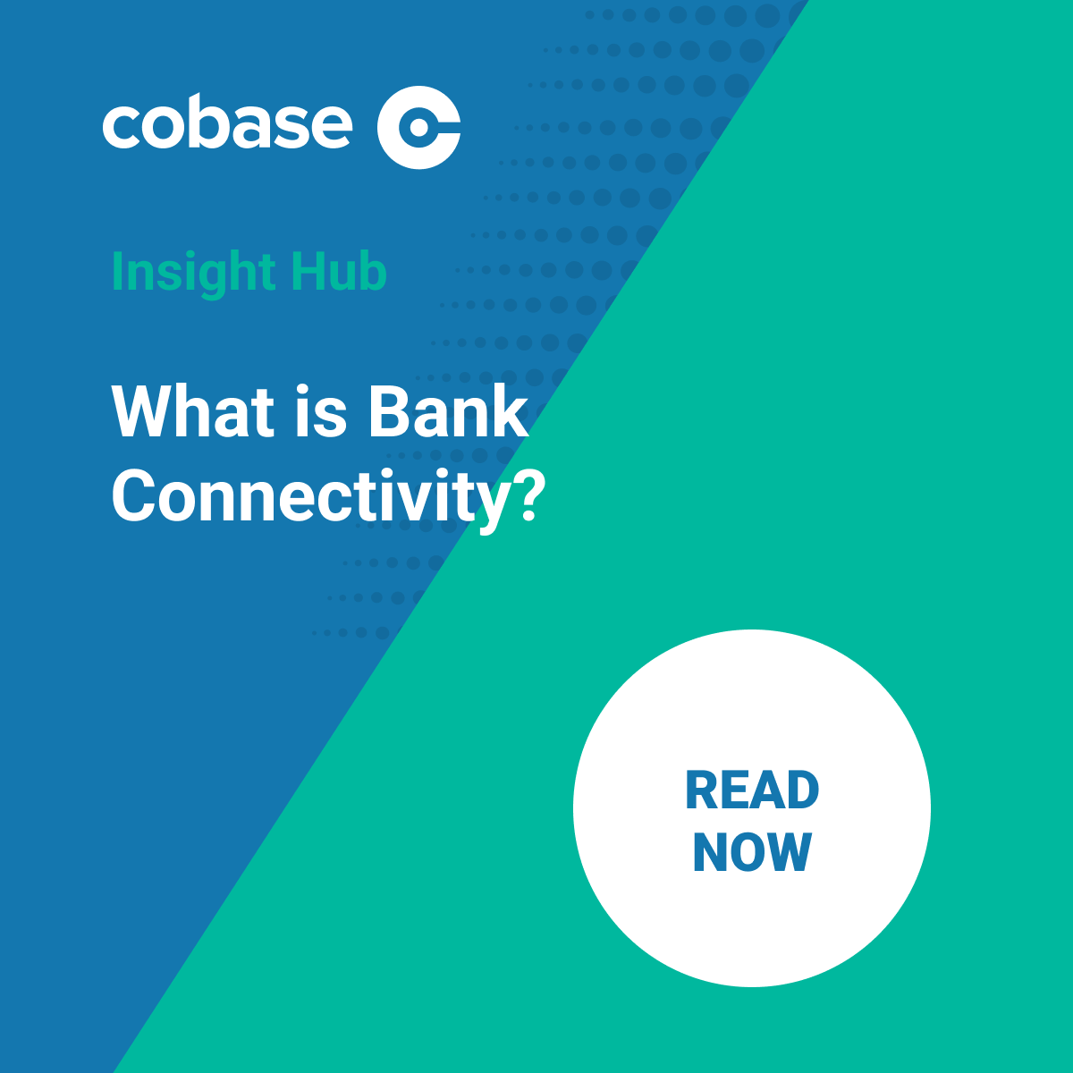 What is Bank Connectivity?